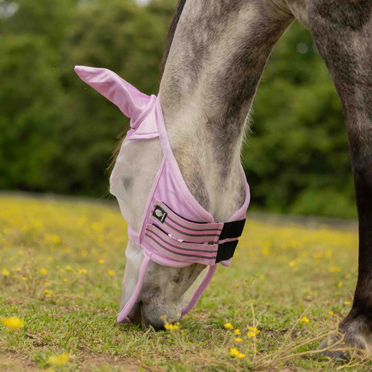 Equinavia Algard Soft Mesh Long Nose Fly Mask image 