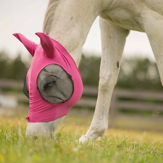 Equinavia Bug Out Fly Mask image 