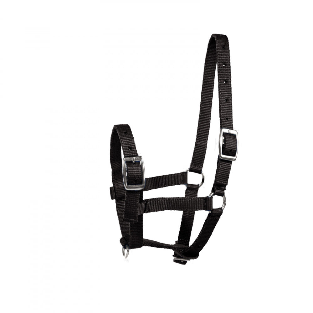 Horze Foal Halter image #1