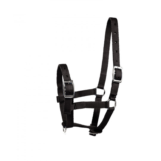 Horze Foal Halter image 