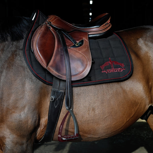 Veredus Vita Stirrup Steel1 image 