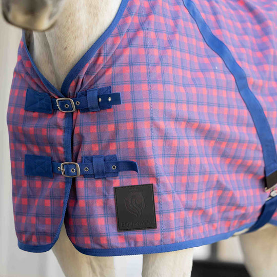 Equinavia Fryd Cotton Stable Sheet image 
