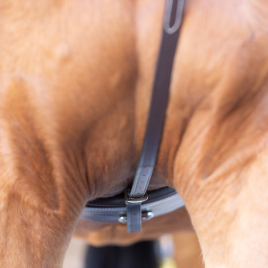 Equinavia Saga Standing Martingale image 