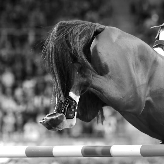 Veredus Pro Jump Active Rear Fetlock Boots image 