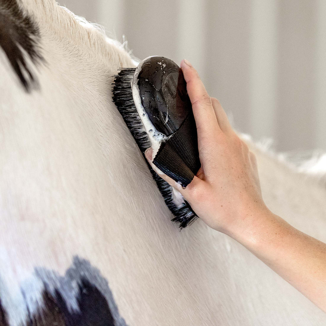 Horze Sponge Brush image 