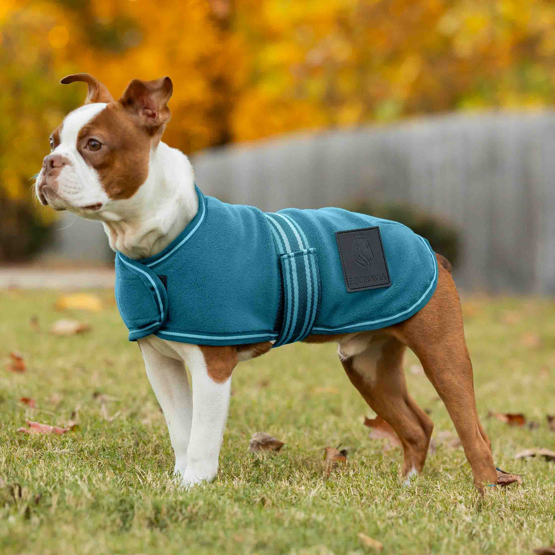 Equinavia Norse Fleece Dog Coat image 