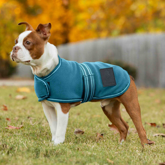 Equinavia Norse Fleece Dog Coat image 