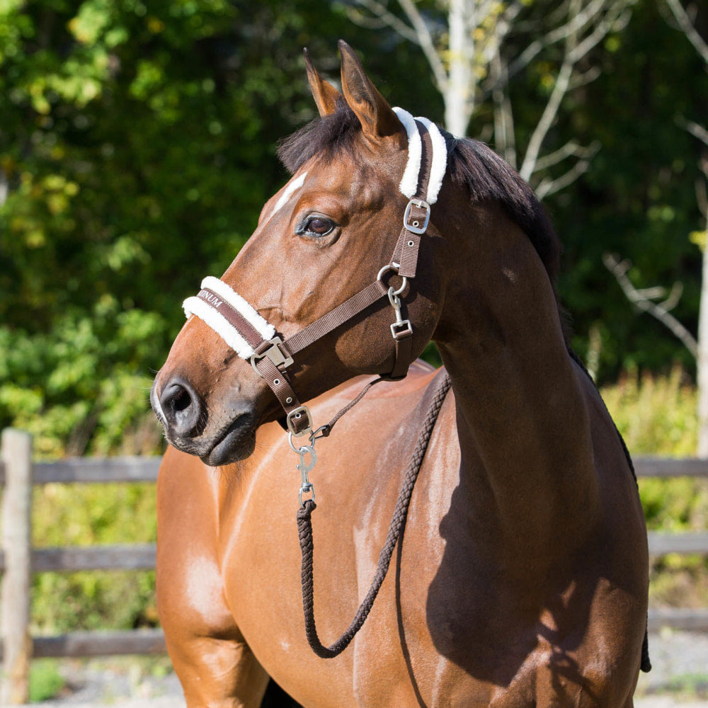 Horze Howard Halter image #1