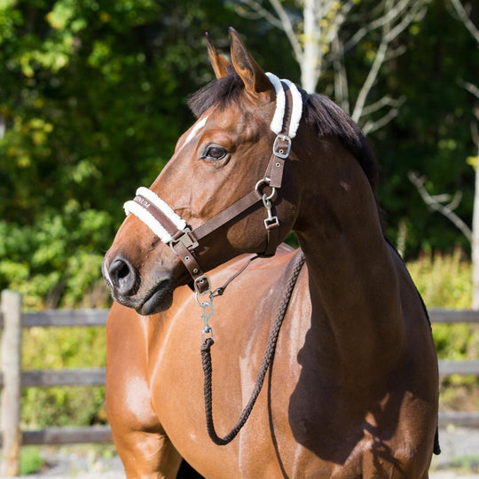 Horze Howard Halter image 