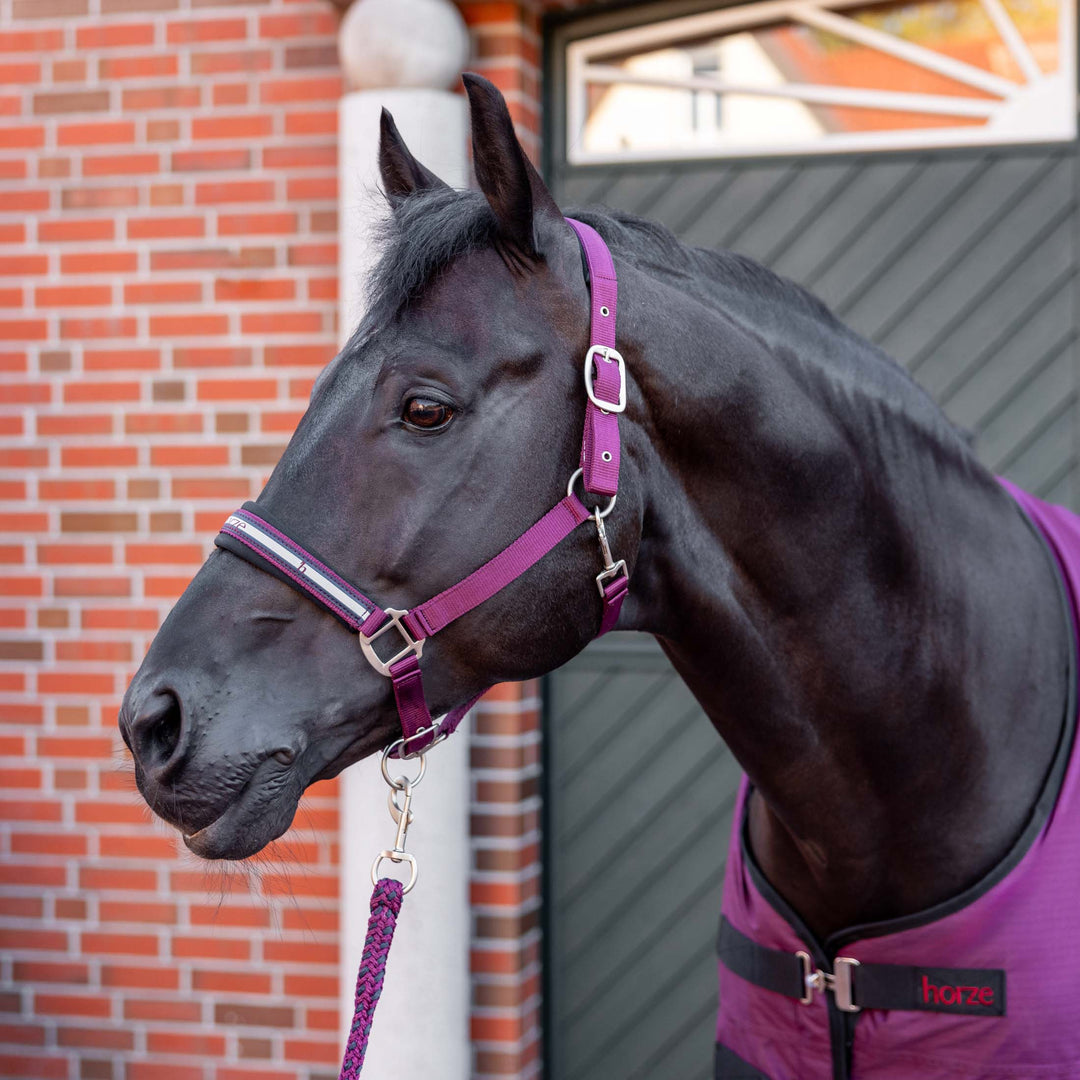 Horze Eternal Gaze Halter and Lead Set image 