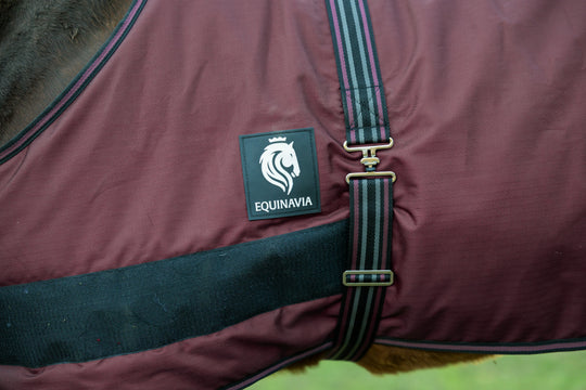Equinavia Norse Foal Turnout Blanket 200g image 