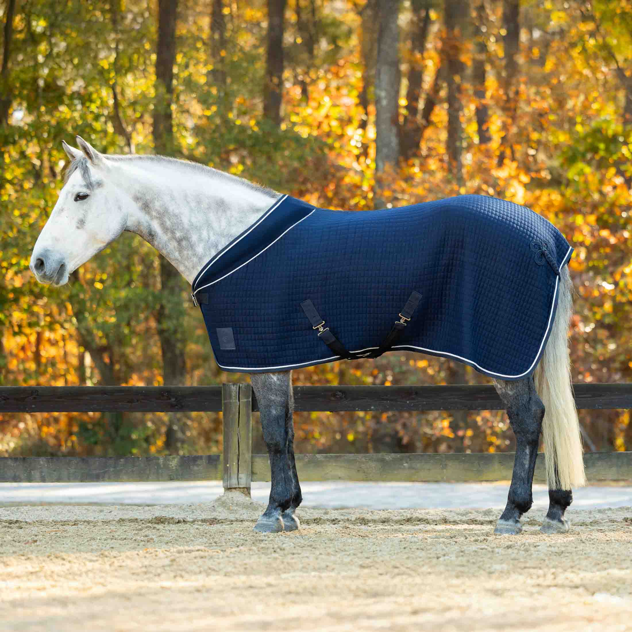 Equinavia Vinter Thermal Stable Blanket image #1