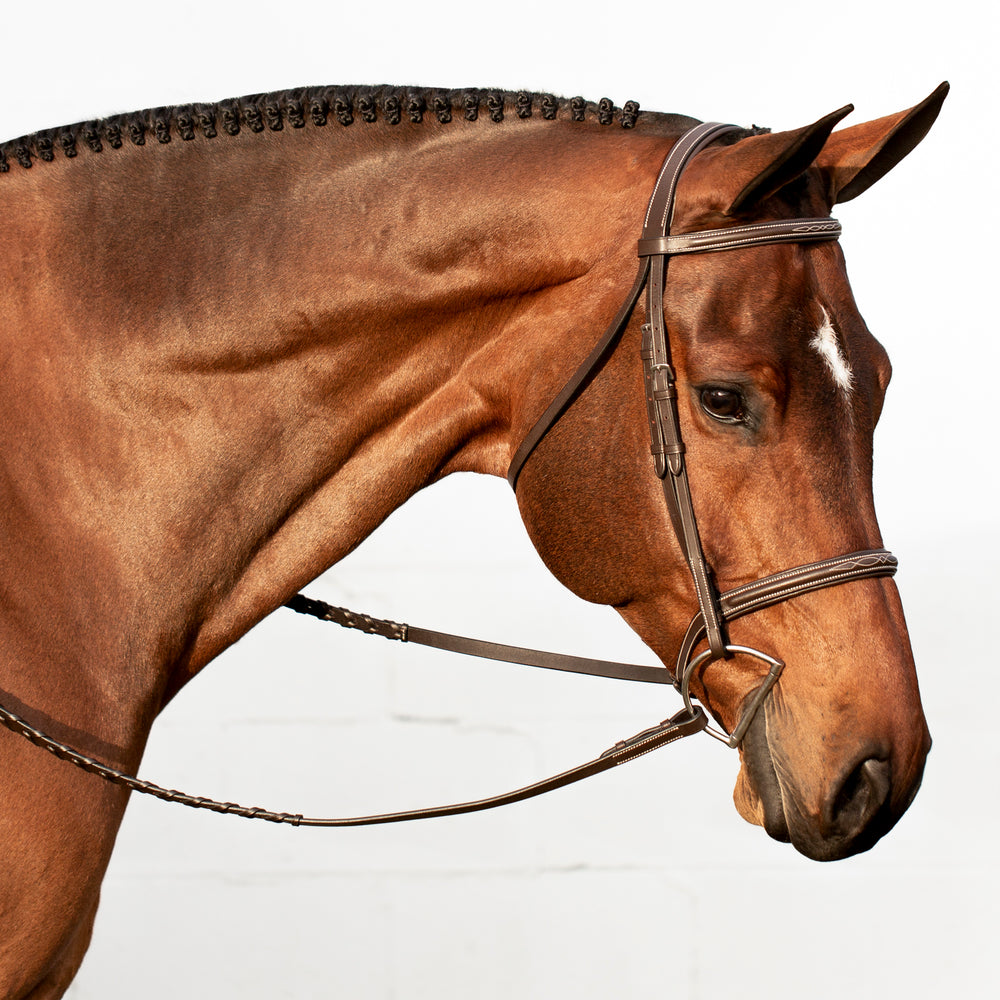 Equinavia Saga Fancy Stitched Hunter Bridle & Reins image #2