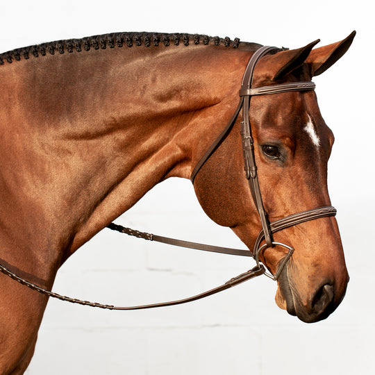 Equinavia Saga Fancy Stitched Hunter Bridle &amp; Reins image 