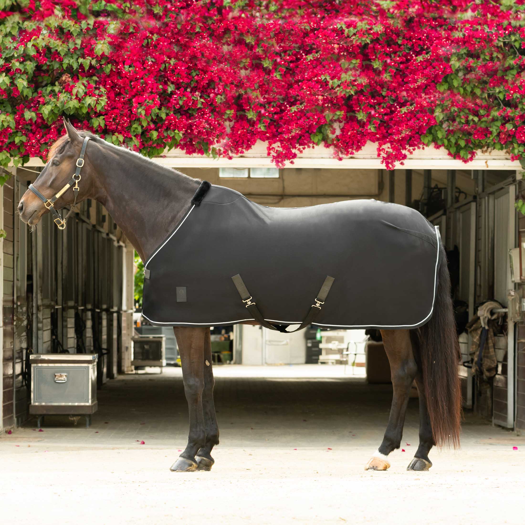 Equinavia Torr Quick Dry Cooler image #1