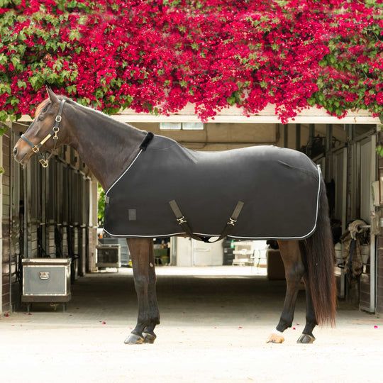 Equinavia Torr Quick Dry Cooler image 