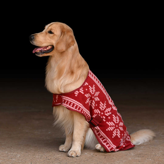 Horze Santa Dog Fleece Coat image 