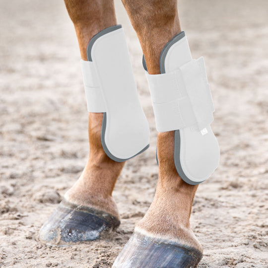 Horze Chicago Tendon Open Front Horse Boots image 