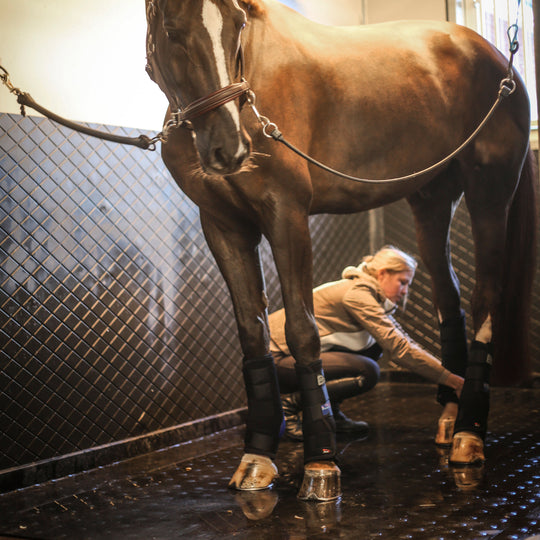 Veredus Magnetik Front Stable Boots image 