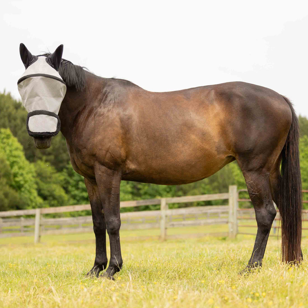 Equinavia Visor Fly Mask with Detachable Nose image #4
