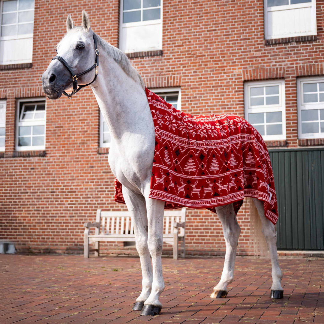 Horze Santa Christmas Throw Blanket image 