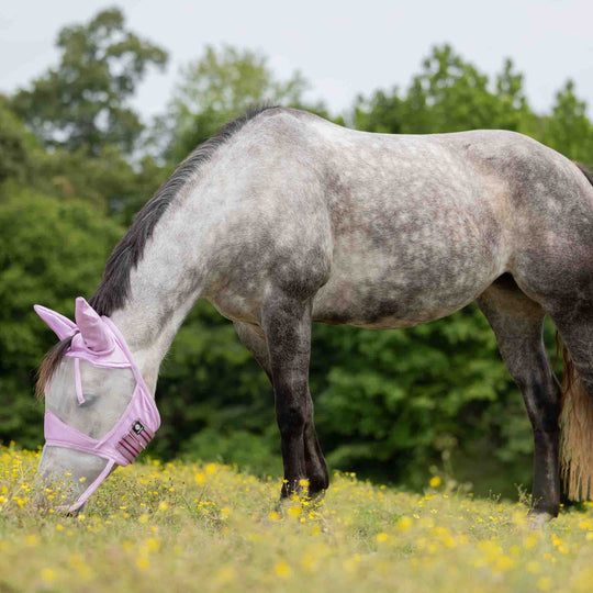 Equinavia Algard Soft Mesh Long Nose Fly Mask image 