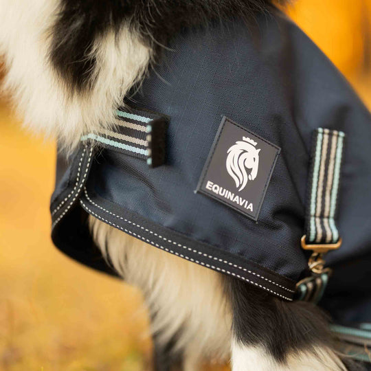 Equinavia Arktis Dog Turnout Blanket 200g image 