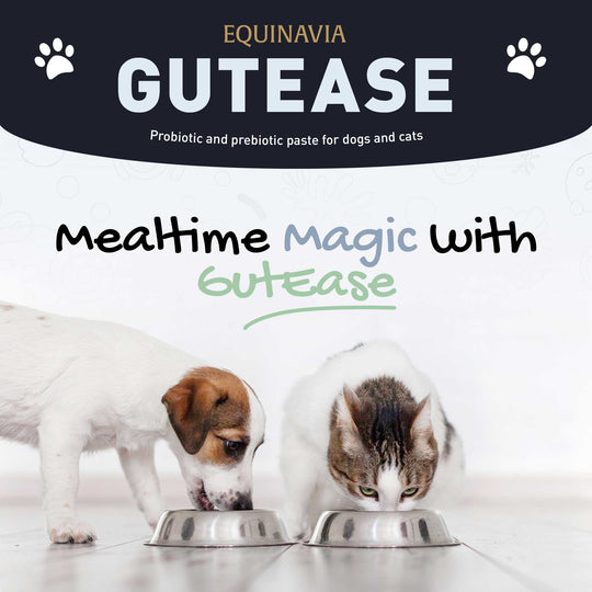 Equinavia GutEase image 