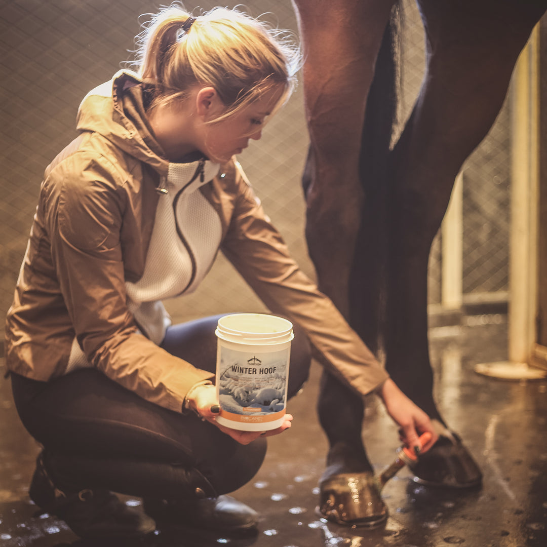 Veredus Winter Hoof image 