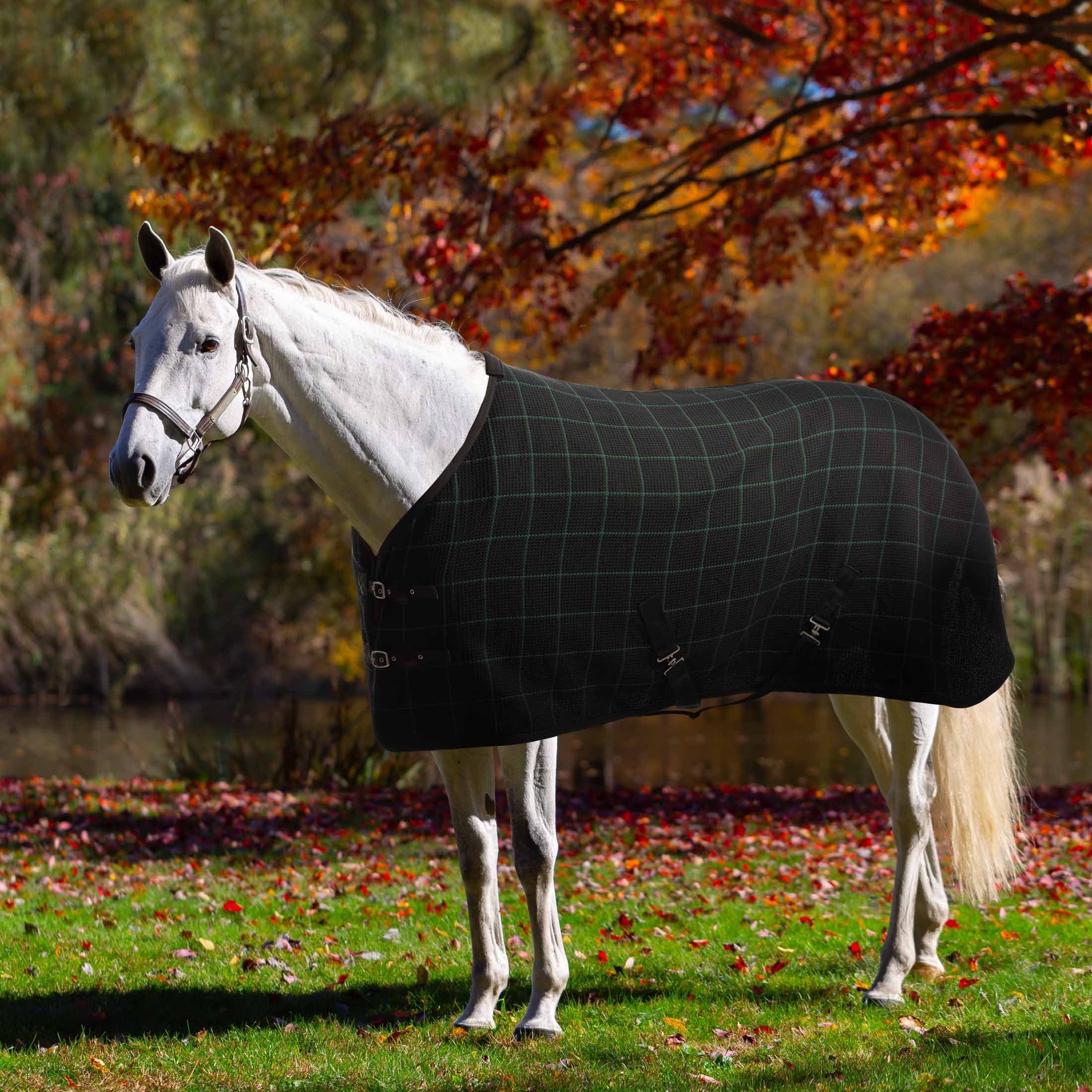 Equinavia Luftig Waffle Cooler image #1