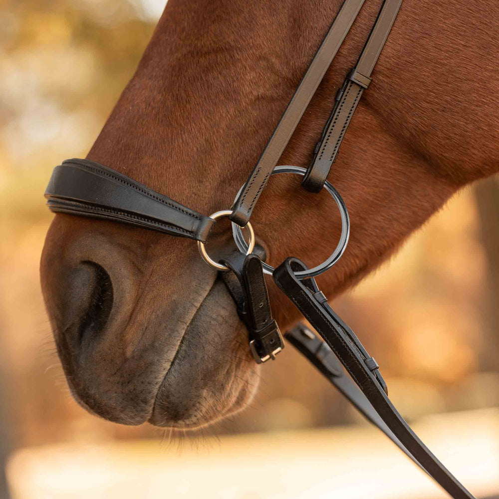 Equinavia Saga Drop Noseband Bridle with Web Rubber Reins image #2