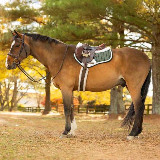 Equinavia Copenhagen Stay Put All Purpose Saddle Pad image 