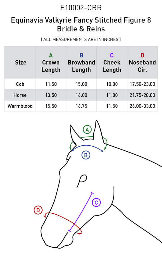Size chart: English Bridles