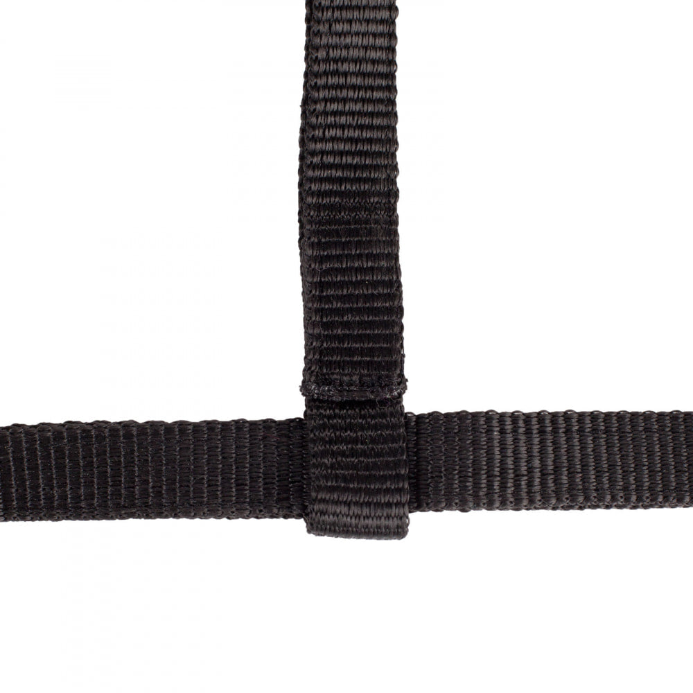 Horze Foal Halter image 