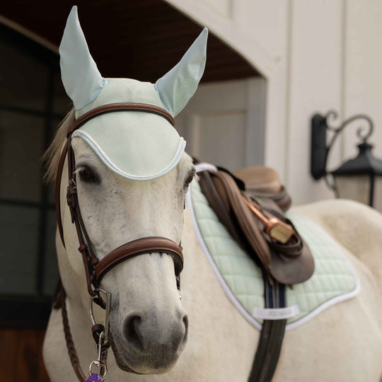 Equinavia Svalbard All Purpose Saddle Pad with NordicAir™ Tech image 