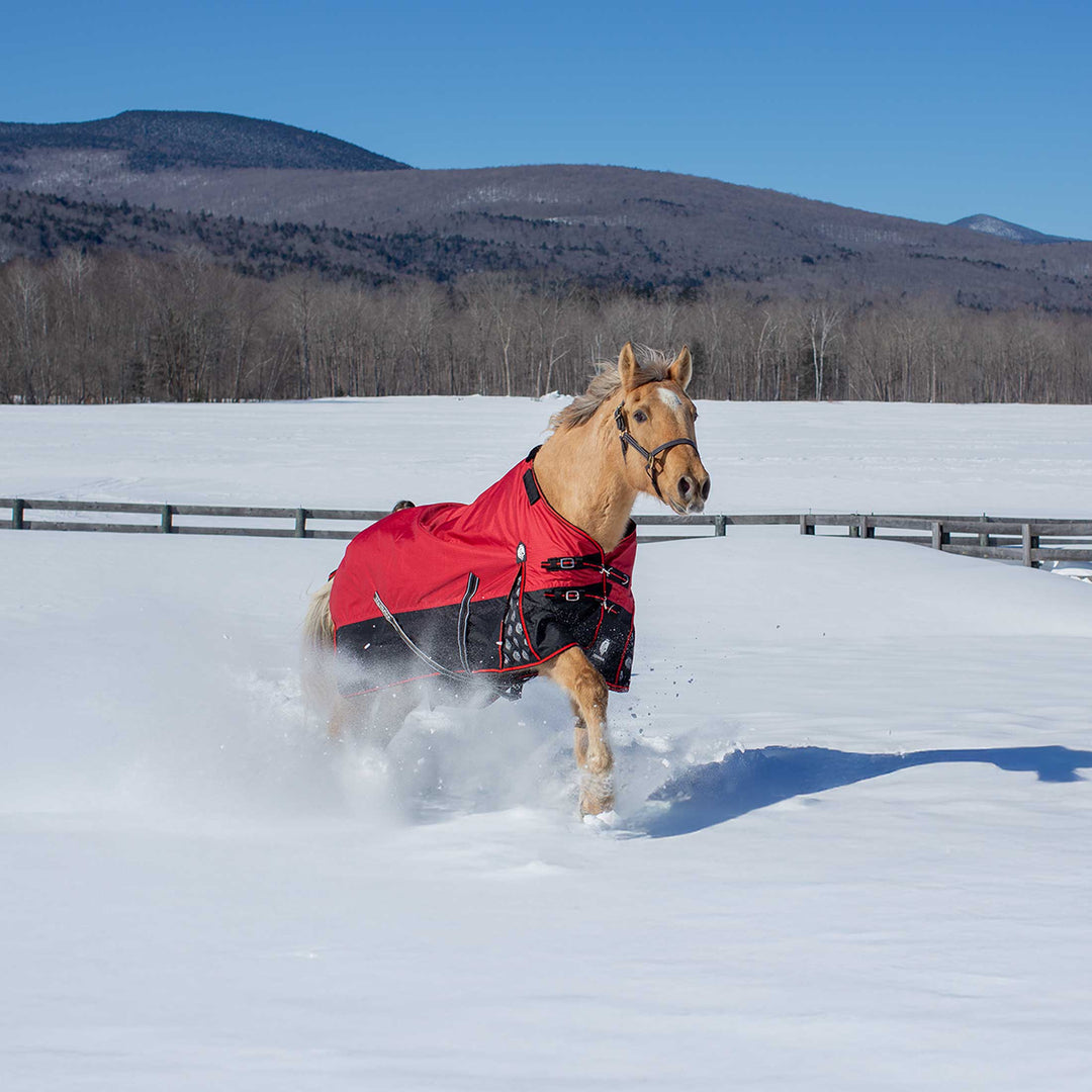 Equinavia Norse Mid Weight Turnout Blanket 200g image 