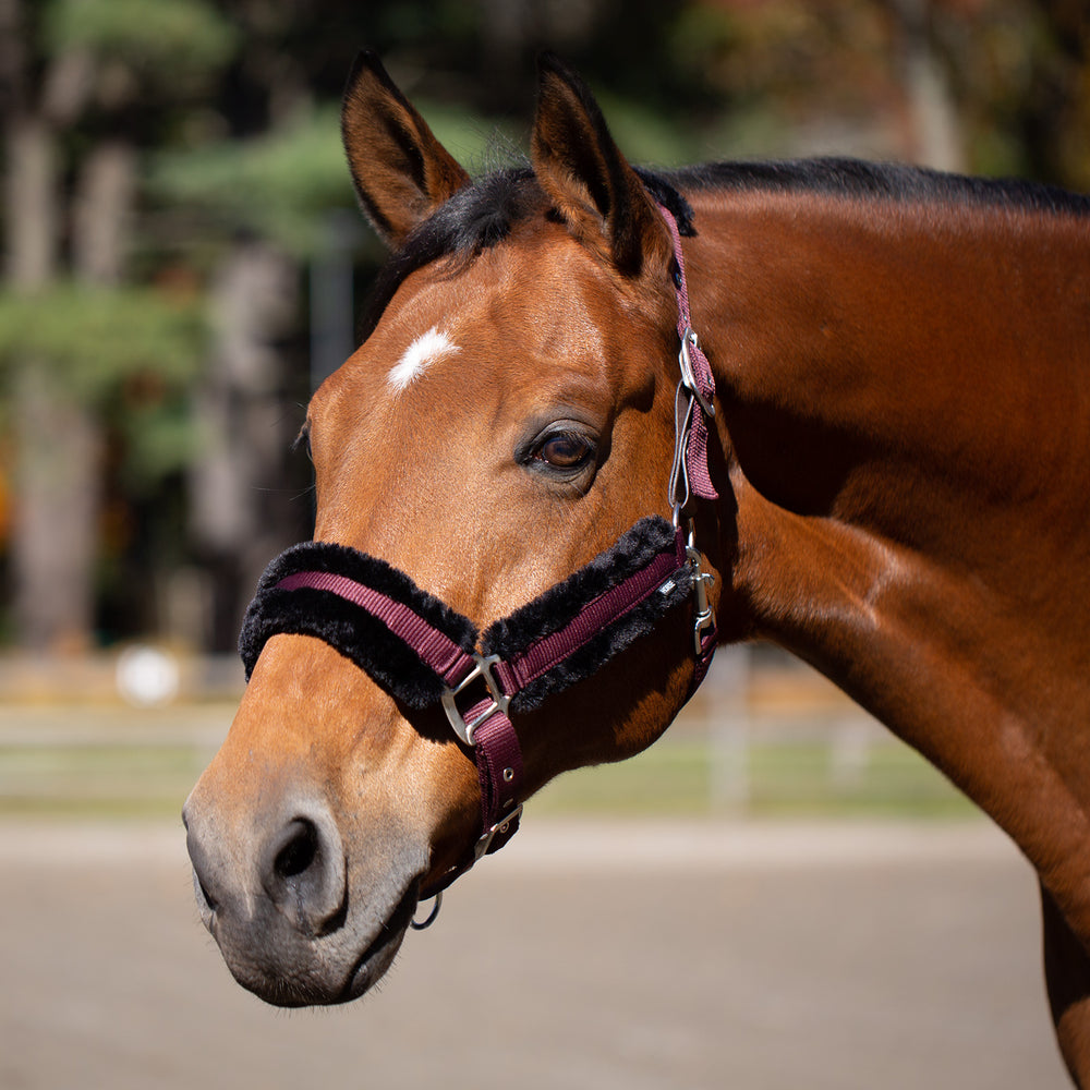 Equinavia Valkyrie Ultra Fleece Breakaway Halter image #2
