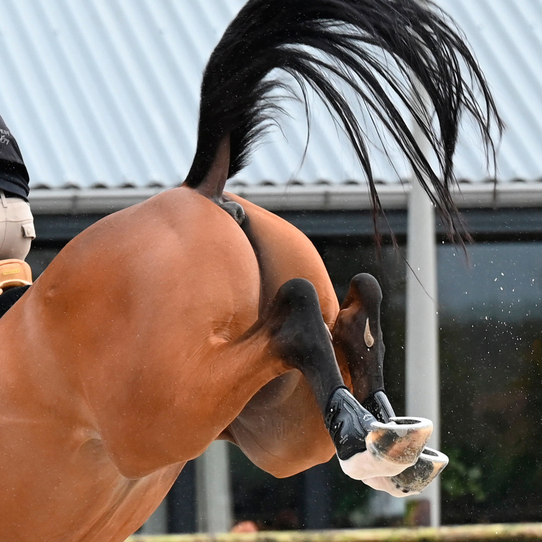 Veredus Pro Jump Active Rear Fetlock Boots image 