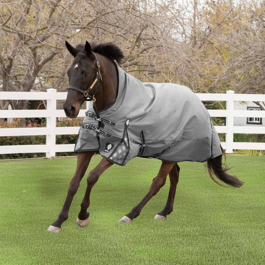 Equinavia Arktis Extended Neck Turnout Sheet image 