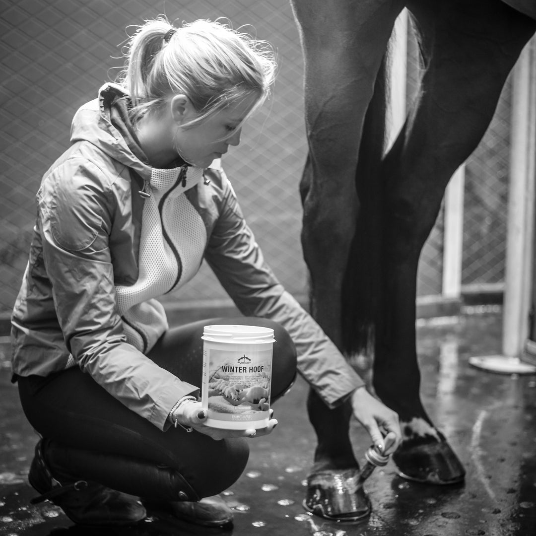 Veredus Winter Hoof image 