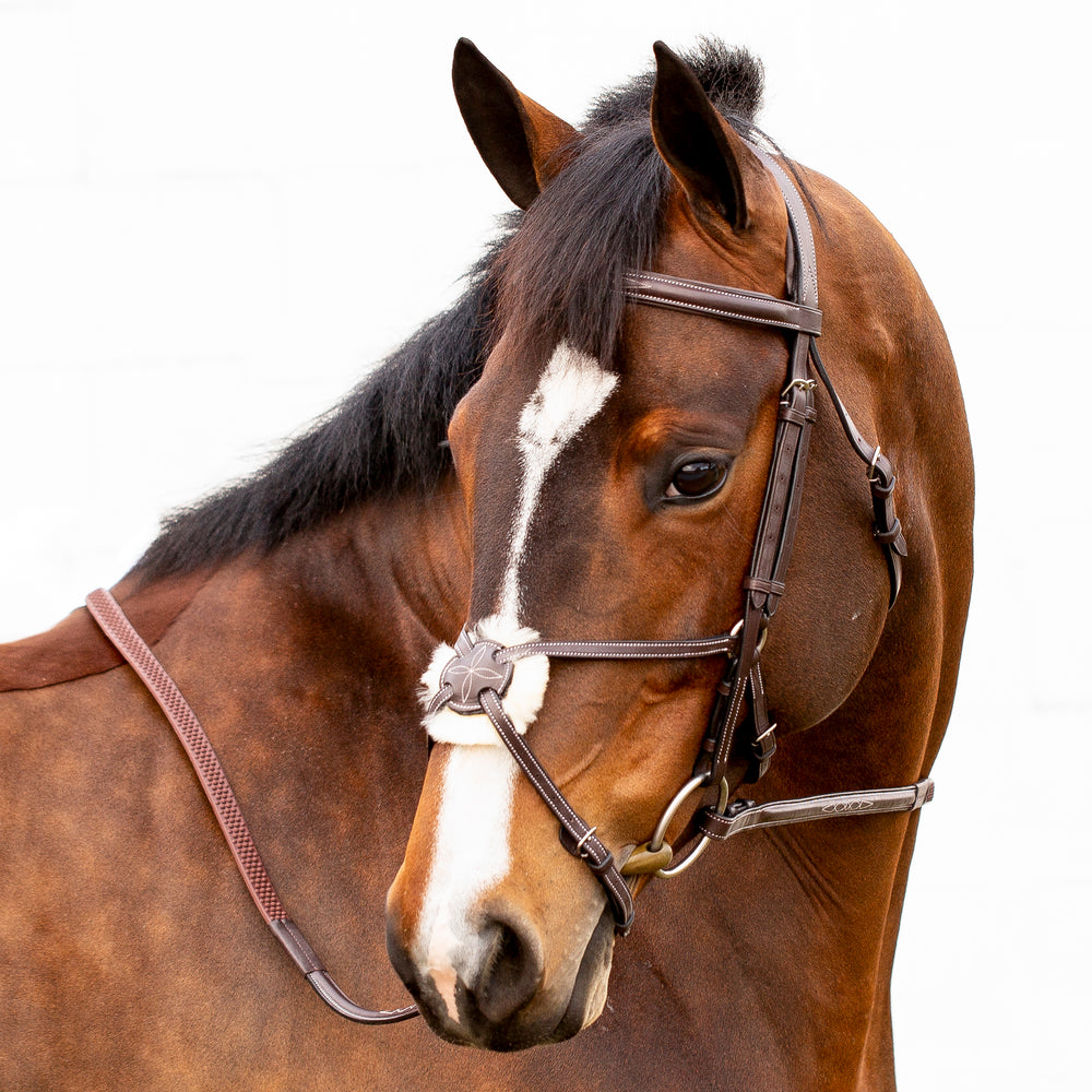 Equinavia Valkyrie Fancy Stitched Figure 8 Bridle & Reins image #2