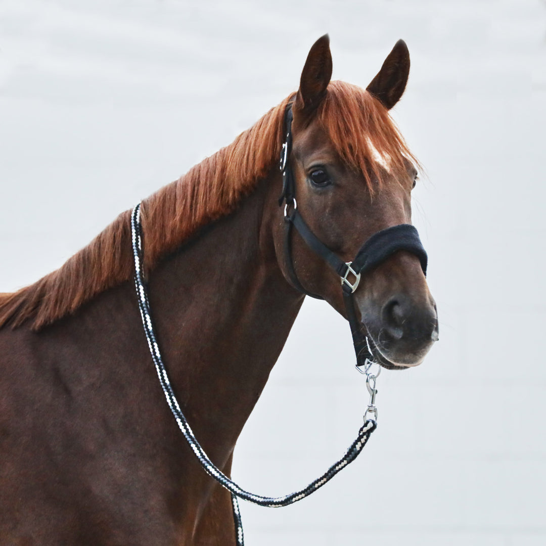 Horze Kiel Halter with Fleece image 