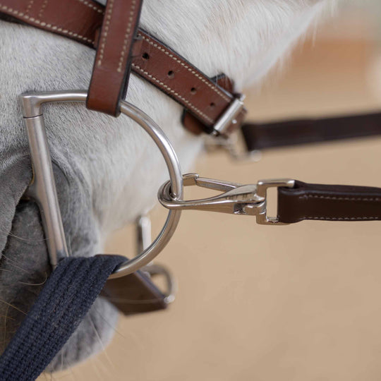 Equinavia Saga Donut Side Reins image 