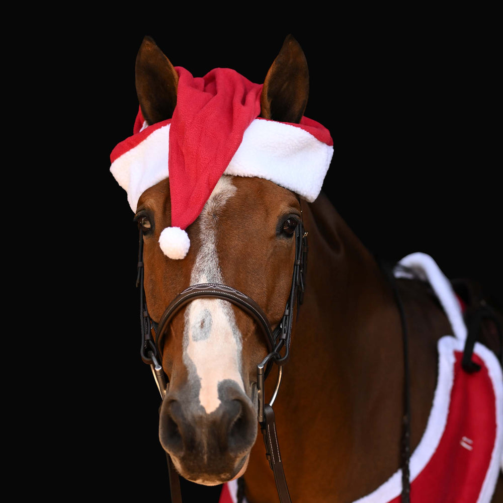 Horze Santa Harness image #2