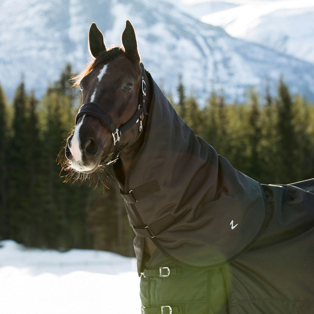 Horze Nevada Turnout Neck Cover image #1