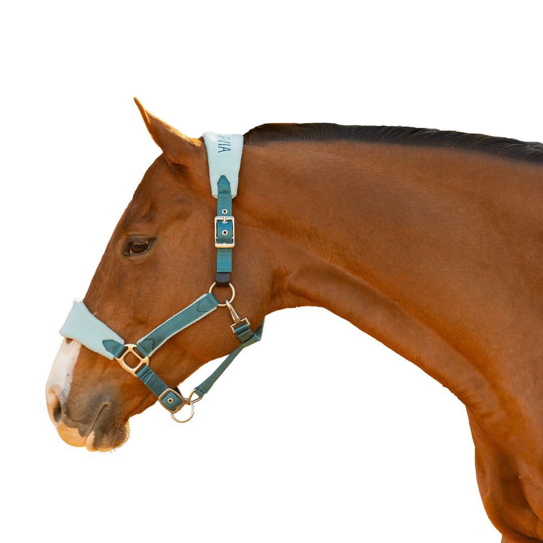 Equinavia Saga Fleece Padded Breakaway Halter image #1
