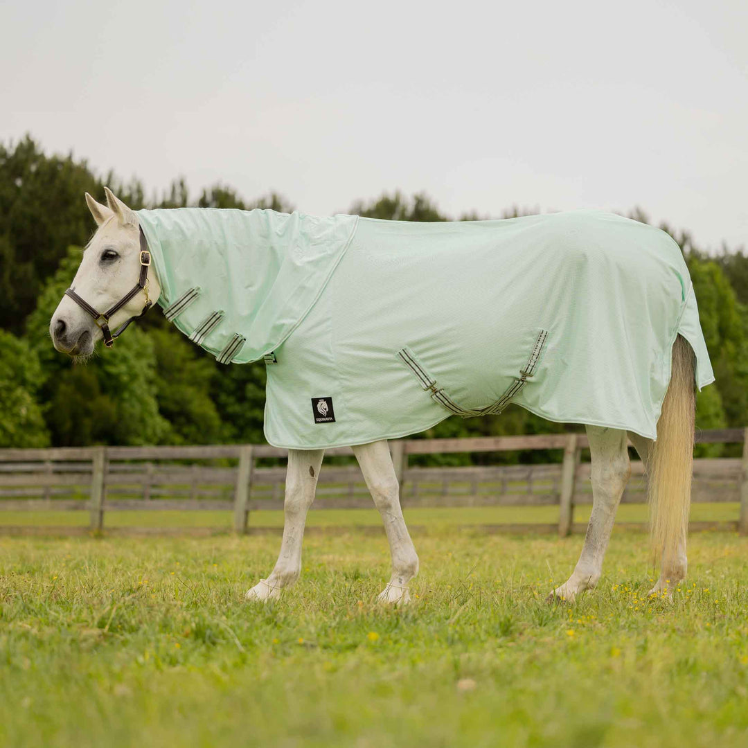 Equinavia Brisk Fly Sheet with Detachable Neck image 