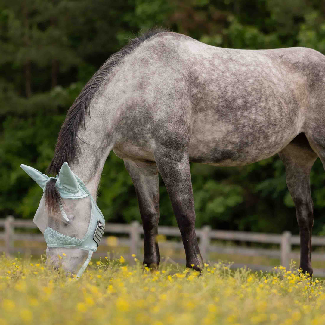 Equinavia Algard Soft Mesh Long Nose Fly Mask image 
