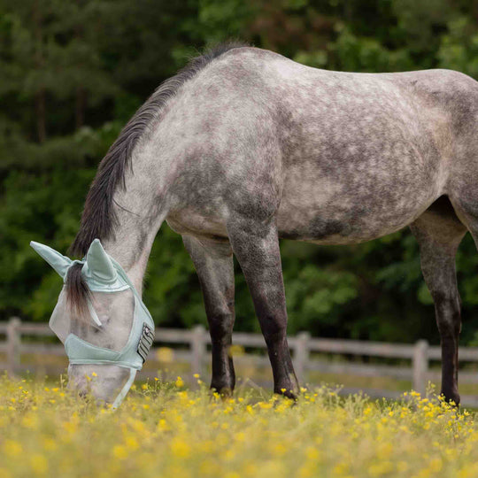 Equinavia Algard Soft Mesh Long Nose Fly Mask image 