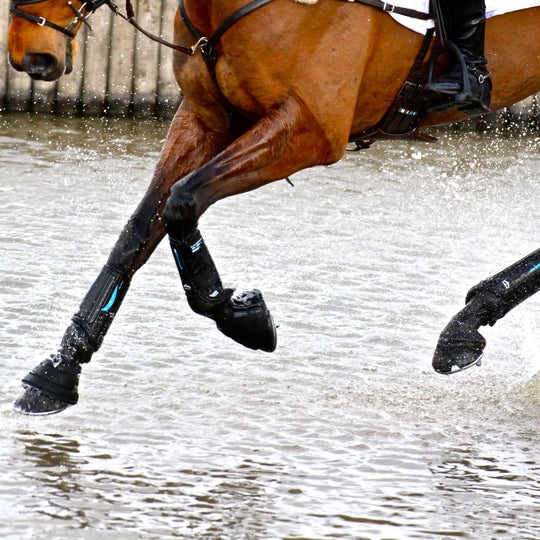 Veredus E-Vento Cross Country Front Boots image 